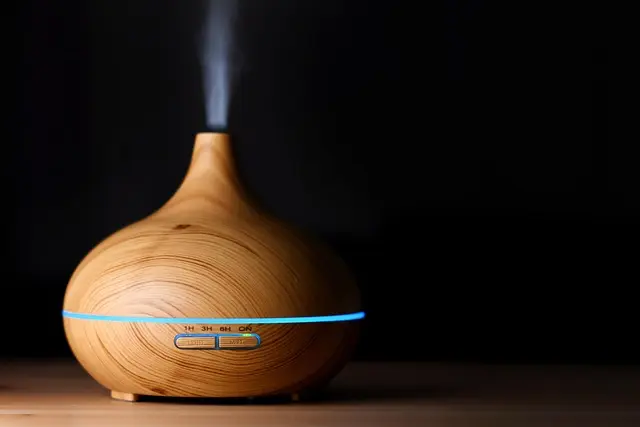 Guide d'achat des meilleurs diffuseurs d'huiles essentielles