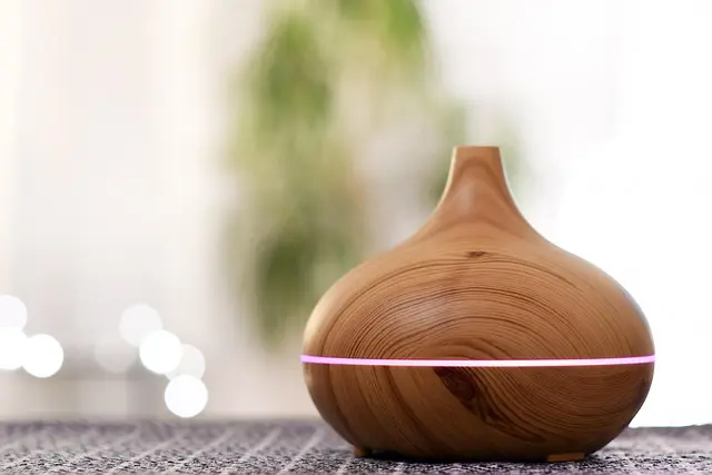 Meilleur diffuseur d'huiles essentielles : guide d'achat