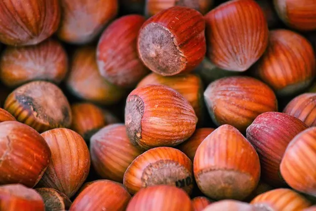 Guía de compra sobre alimentación consciente