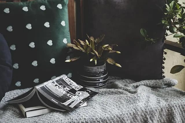 Guide d'achat des meilleurs coussins chauffants