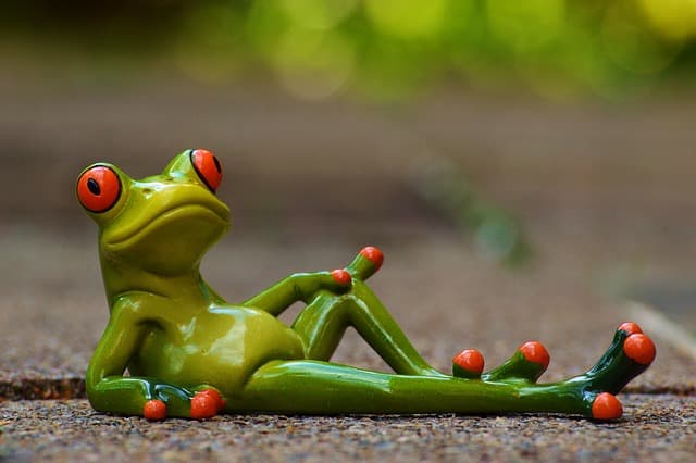 Rituels de Relaxation Traditionnels : Guide Complet